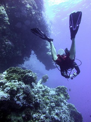 Diver Swimming along a Wall