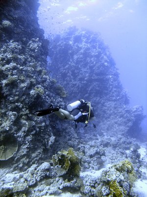 Scuba Diver Diving Wall