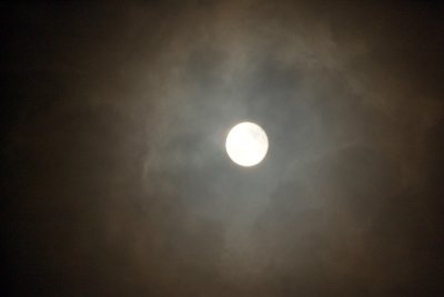 Full Moon in November