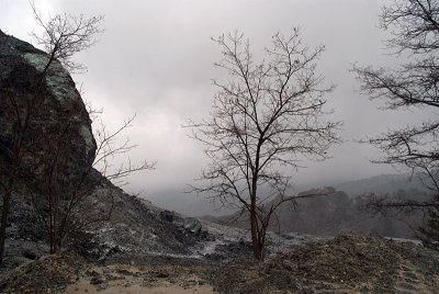 Mist in the Troodos Mountains 02
