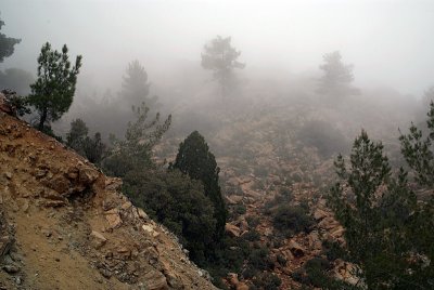 Mist in the Troodos Mountains 05