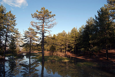 Troodos Mountain Scenery 14