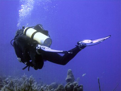 Diver From Behind