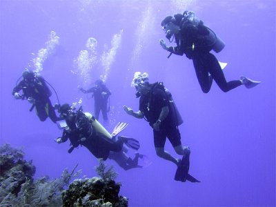 Dive Guide Pointing Something Out