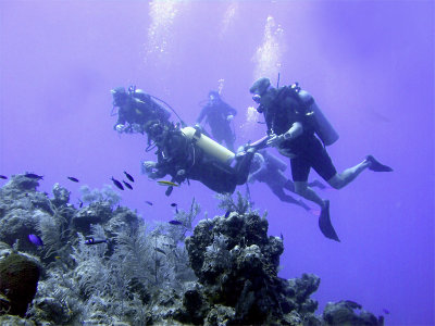 Dive Guide Pointing Something Out 2