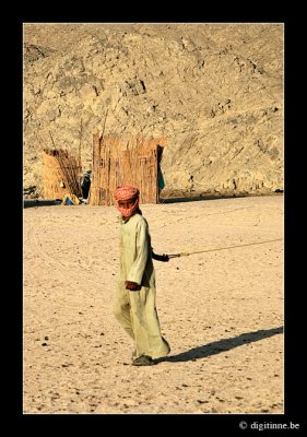 Bedouin Camp '