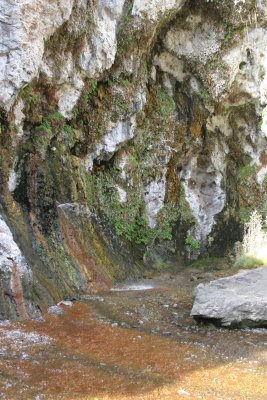 Hot Spring again IMG_6355.JPG