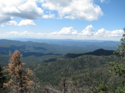 Looking west - Blue Range Primitive area IMG_1475.JPG