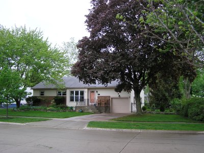 Summer view with current paint color on garage door.