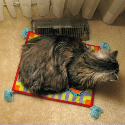MD finally discovers the advantages of heating vents - IMG_3834.jpg