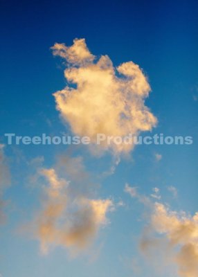 IMG_5636.jpg