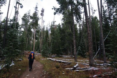 Heading up the trail