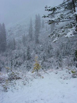 A real winter wonderland, looking down Paintbrush Canyon