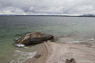 Fishing Cone geyser at West Thumb