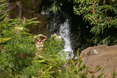 ginger pool on top of Waipo'o Falls