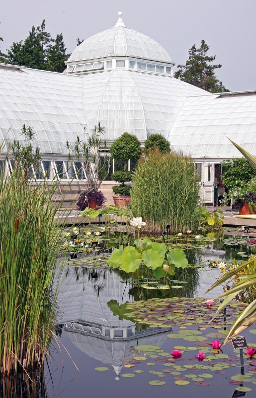 Lily Pond Area