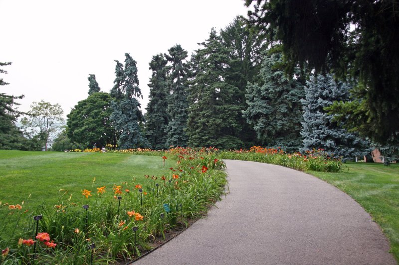 Lilies - Conservatory Gardens