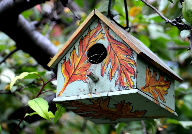 Bird House