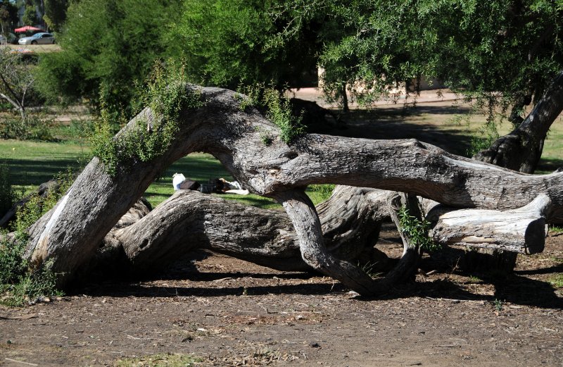 Balboa Park