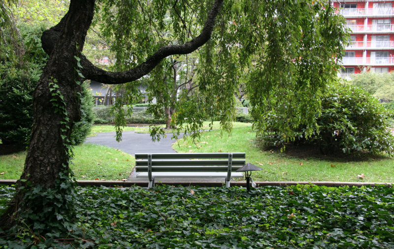 Garden Bench Under a Cherry Tree