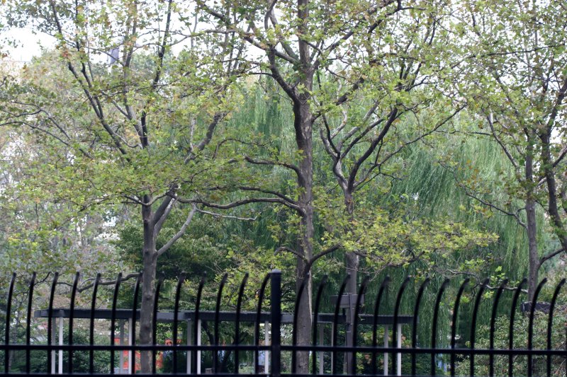 Washington Square Village Playground & Garden