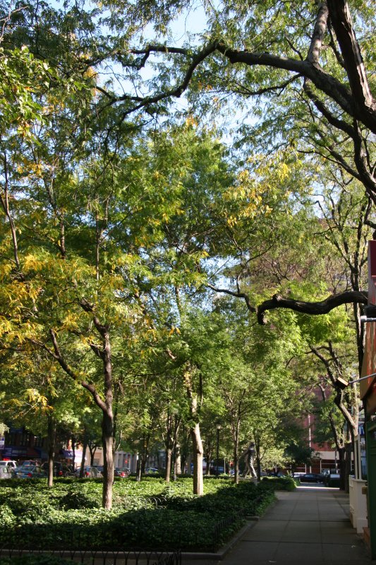 Uptown Garden View