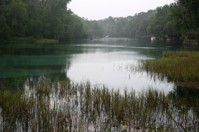 Sunrise - Rainbow Springs State Park