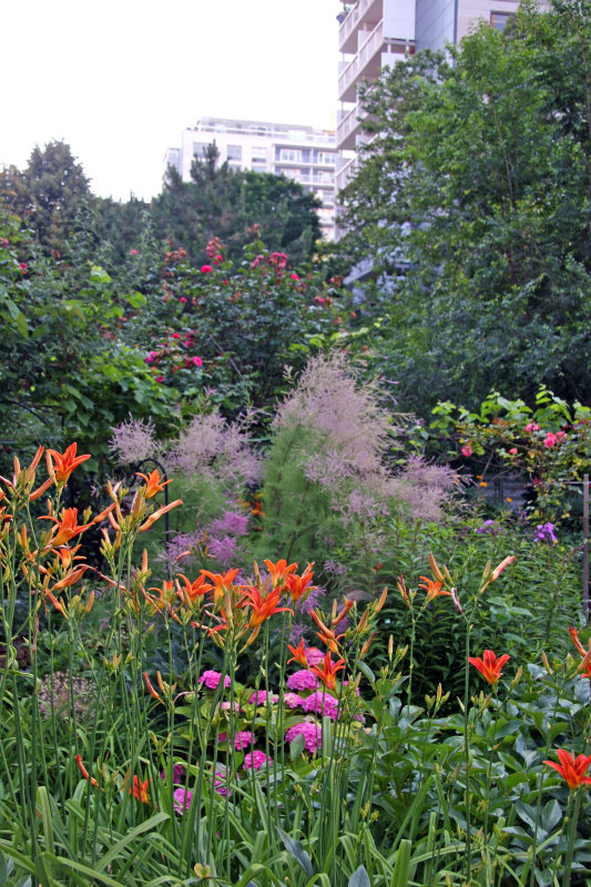 Garden View - Day Lilies