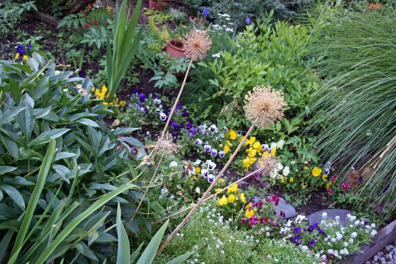 Garden Plot