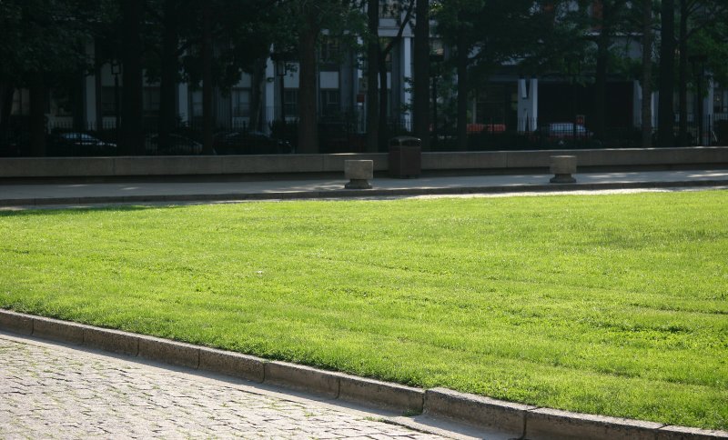 Lawn