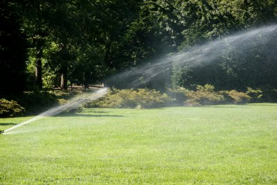 Osborne Garden