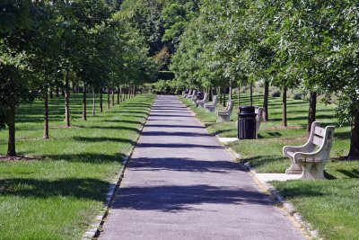 Cherry Tree Orchard Walkway