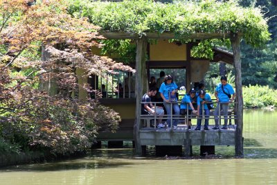 Japanese Garden