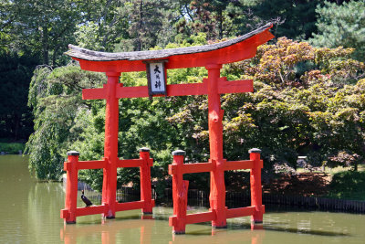 Torii Gate & Cormorant - Japanese Garden