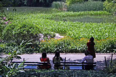 Duck Pond Area