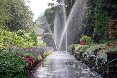 Summer - New York Botanical Gardens