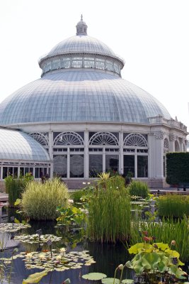 Lily Pond Area