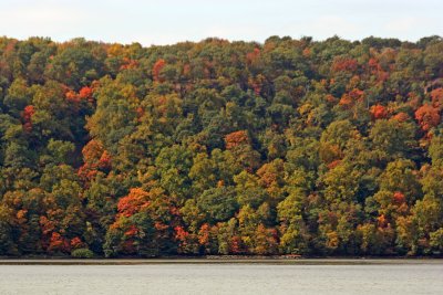 Fall Foliage - New Jersey Palisades from Riverdale, NY Train Station