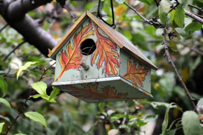 Bird House