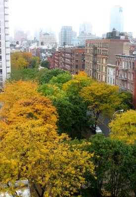 Fall Foliage & Downtown Manhattan