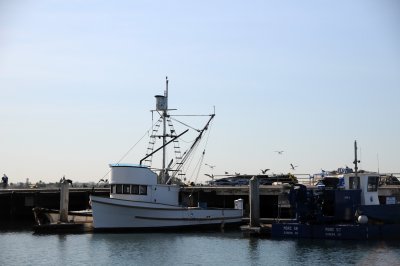 Harbor