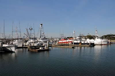 Harbor