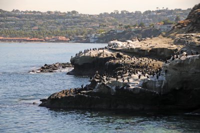 La Jolla Cove