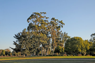 Balboa Park