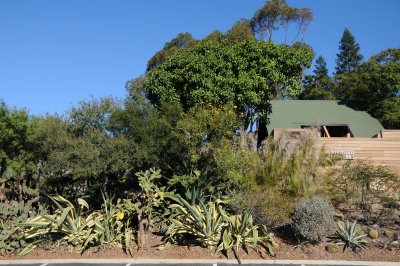 San Diego Botanic Garden in Encinitas