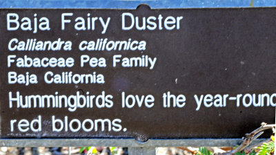 San Diego Botanic Garden
