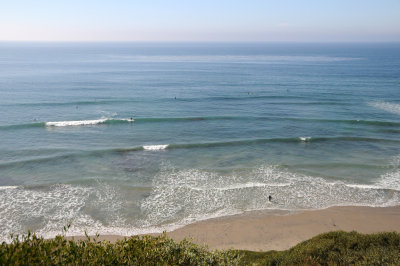 Self-Realization Fellowship Garden