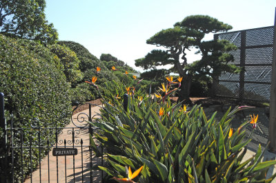 Self-Realization Fellowship Garden