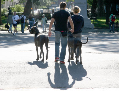 Danes Out for a Walk