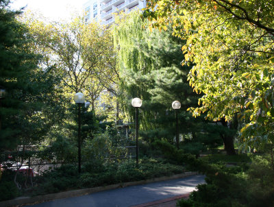 Garden View - Dogwood, Willow, Pine, Sycamore, etc.